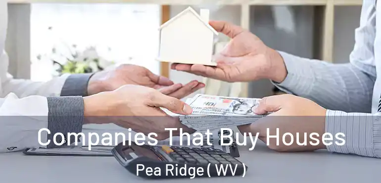  Companies That Buy Houses Pea Ridge ( WV )