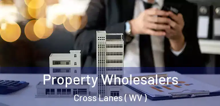  Property Wholesalers Cross Lanes ( WV )