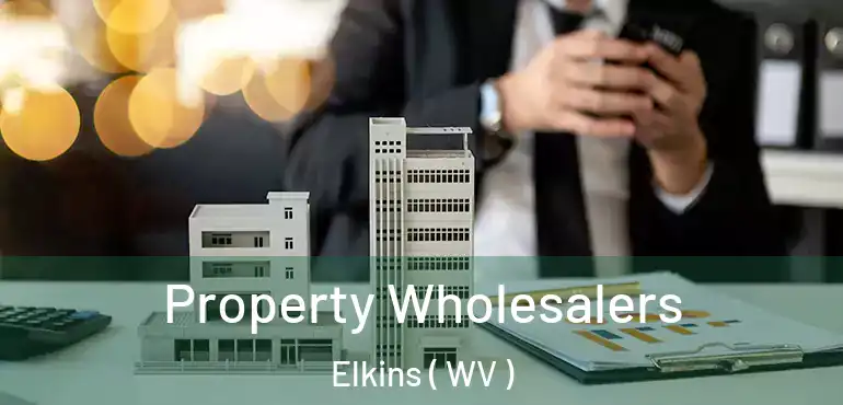  Property Wholesalers Elkins ( WV )