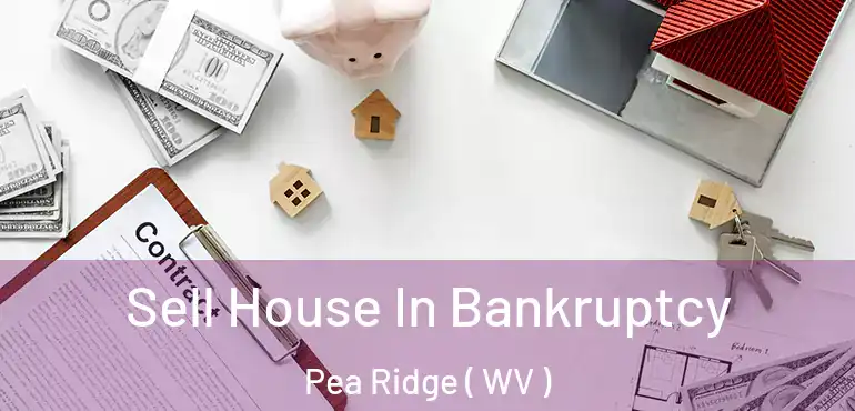 Sell House In Bankruptcy Pea Ridge ( WV )
