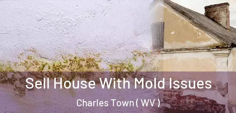 Sell House With Mold Issues Charles Town ( WV )