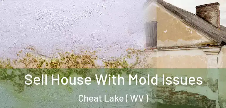 Sell House With Mold Issues Cheat Lake ( WV )