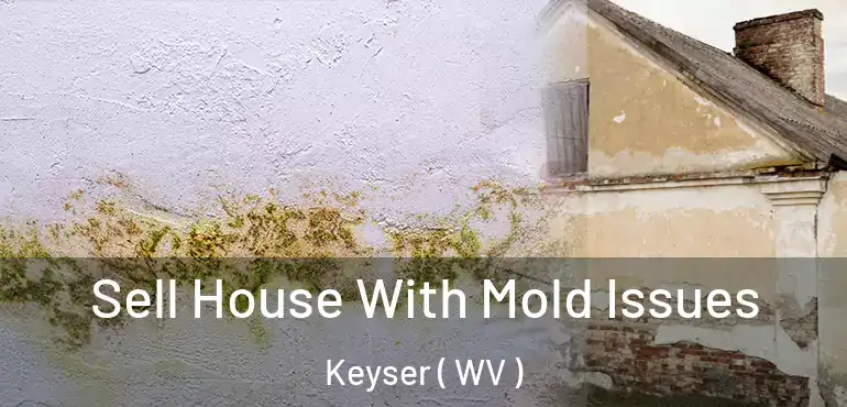 Sell House With Mold Issues Keyser ( WV )