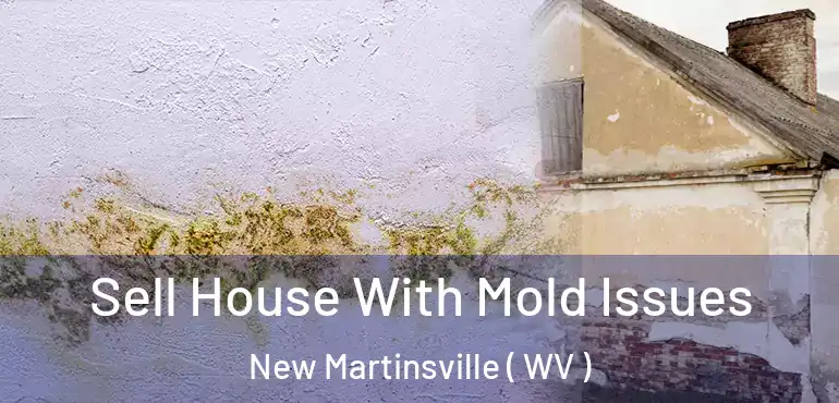  Sell House With Mold Issues New Martinsville ( WV )