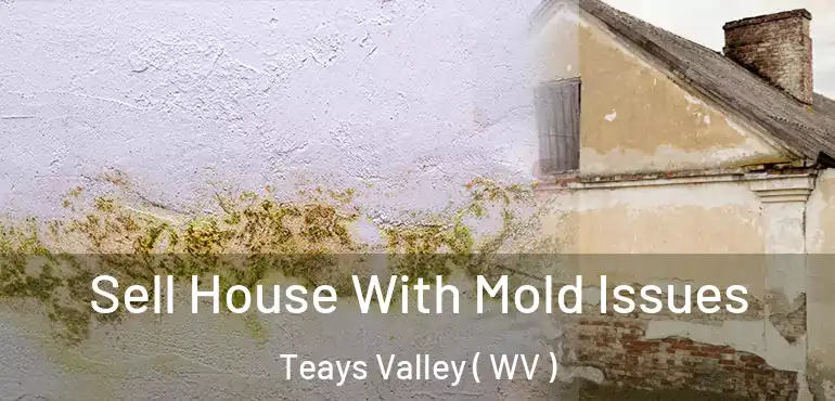 Sell House With Mold Issues Teays Valley ( WV )