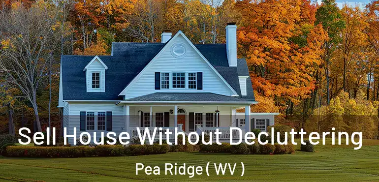 Sell House Without Decluttering Pea Ridge ( WV )